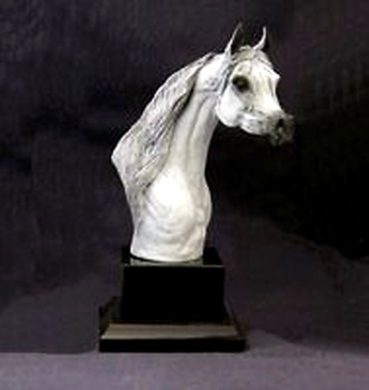 Medium Arabian Trophy Looking Right
