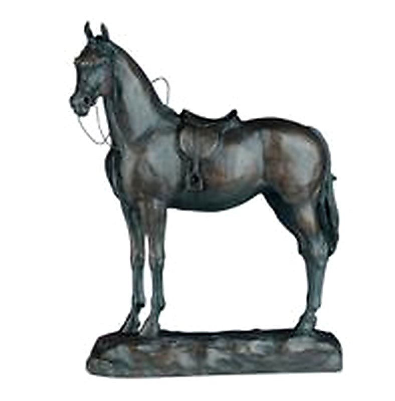 Saddled English Riding Horse