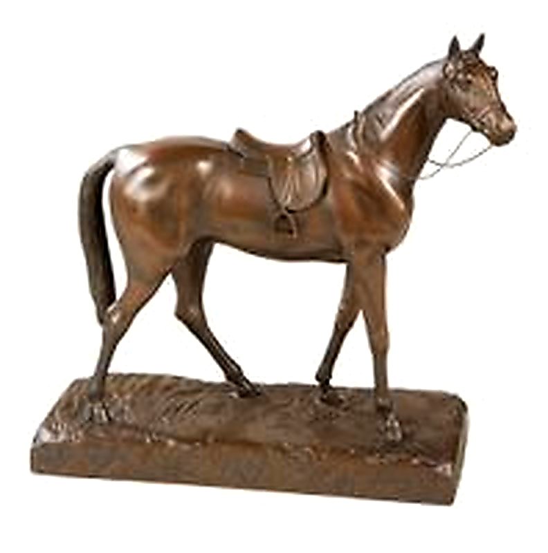 Saddled English Hunter Horse