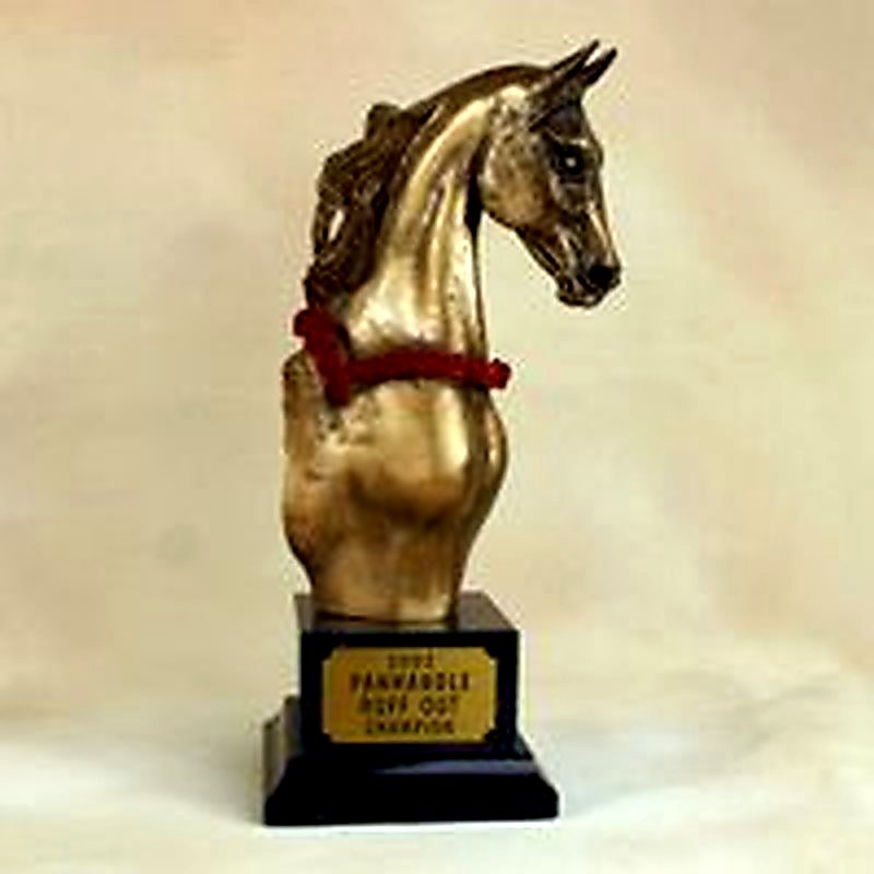 Reserve Night Of Roses Trophy
