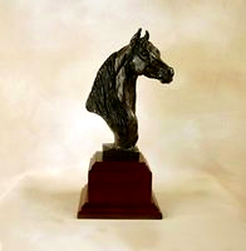 Medium Morgan Trophy
