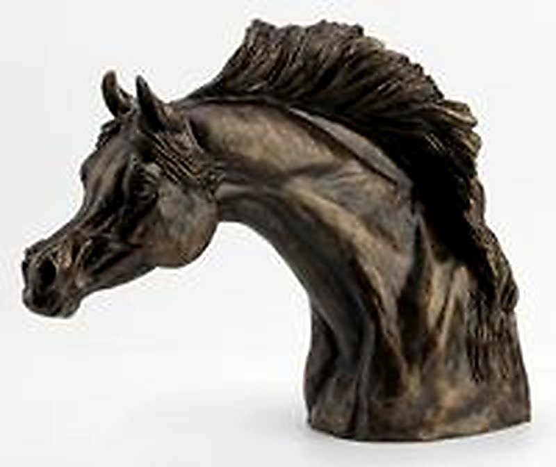 "Freedom Arabian" XL Trophy