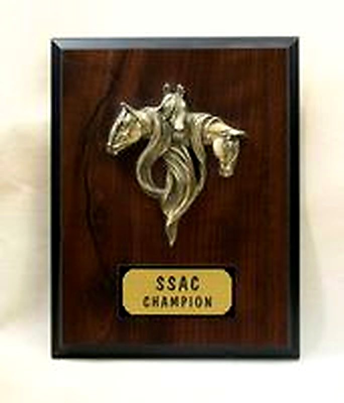 Standard Plaque & Triad Mane Topper