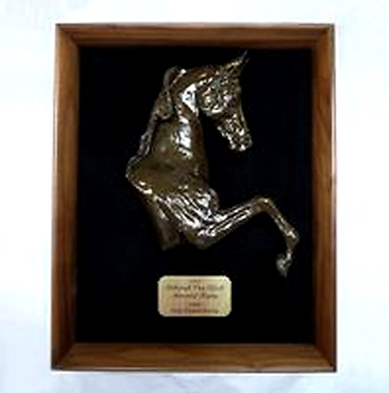 Show Horse Premium Shadow Box