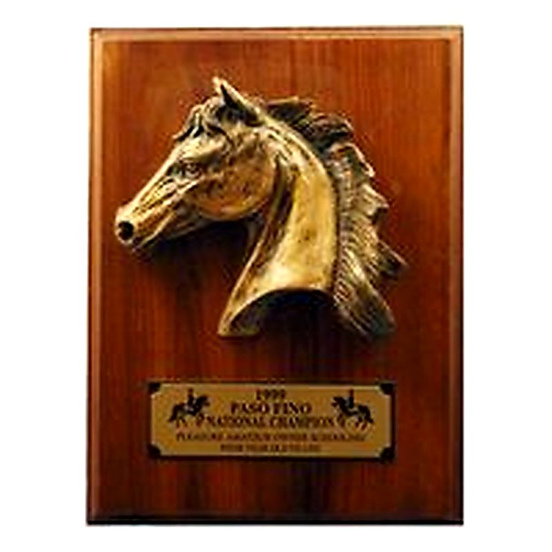 Paso Large Premium Plaque