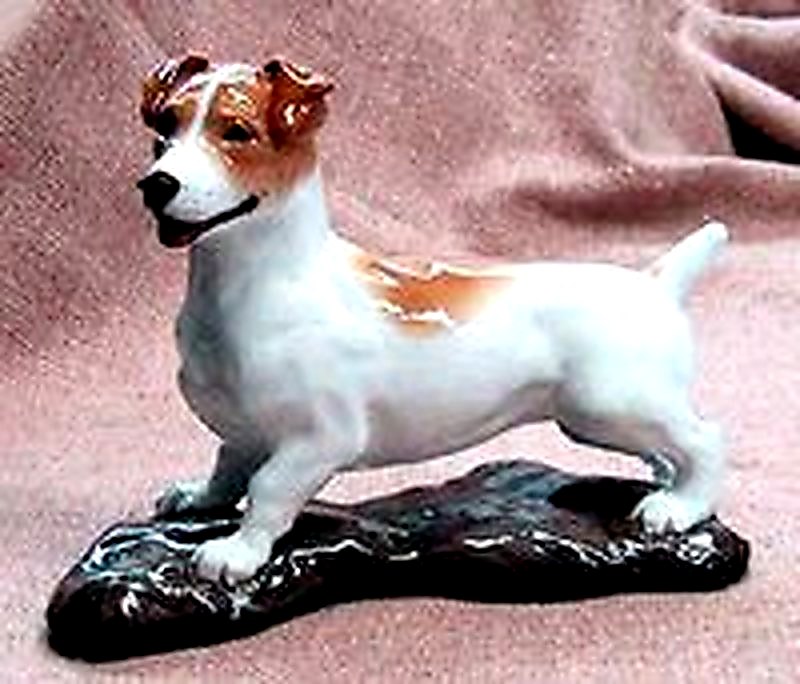 Jack Russell Terrier Smooth