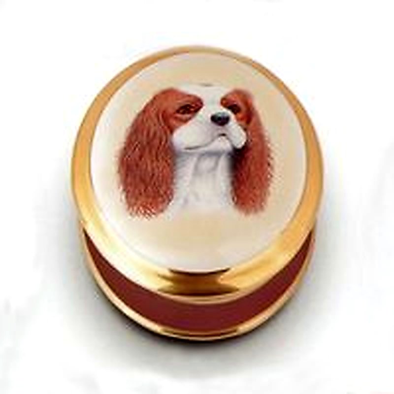 Cavalier King Charles Box