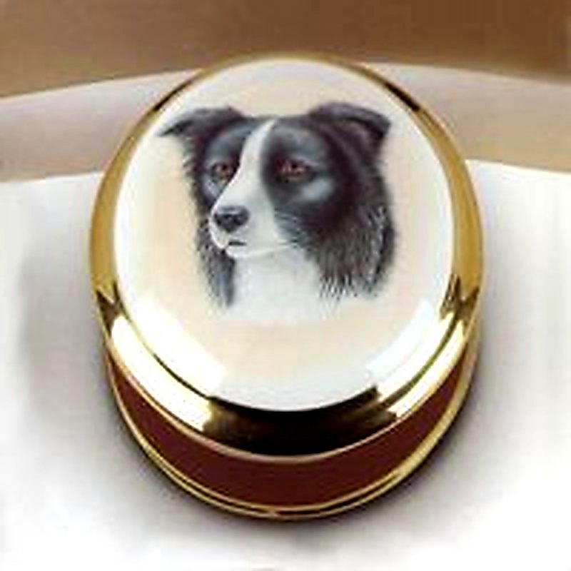 Border Collie Box
