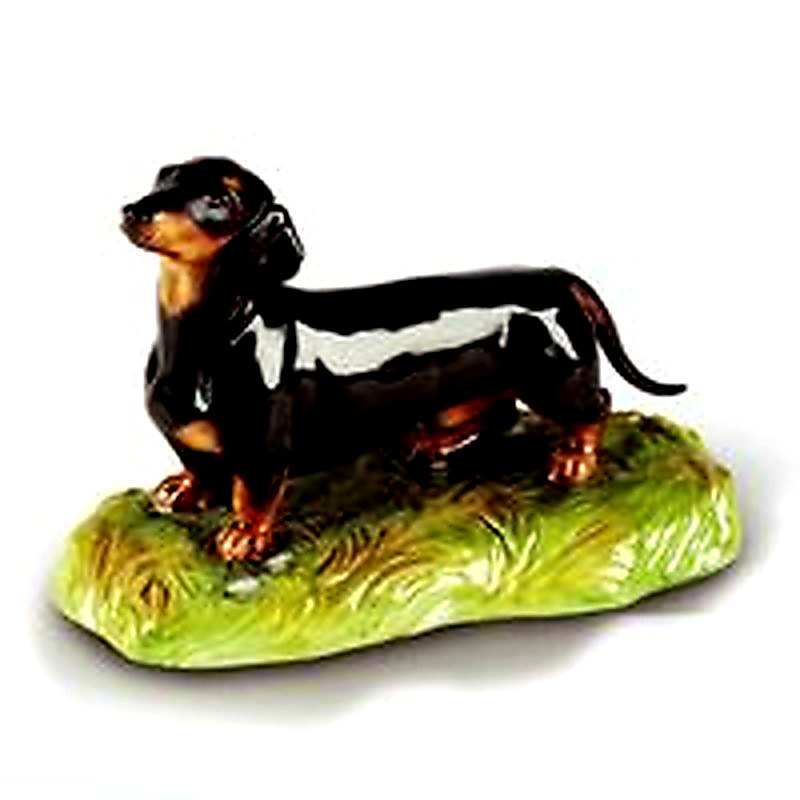 Black & Tan Dachshund