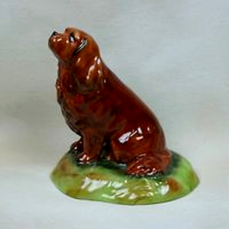 Ruby Cavalier King Charles
