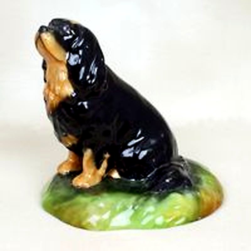 Black & Tan Cavalier King Charles