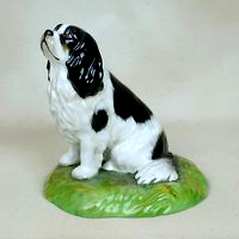 Tri Cavalier King Charles