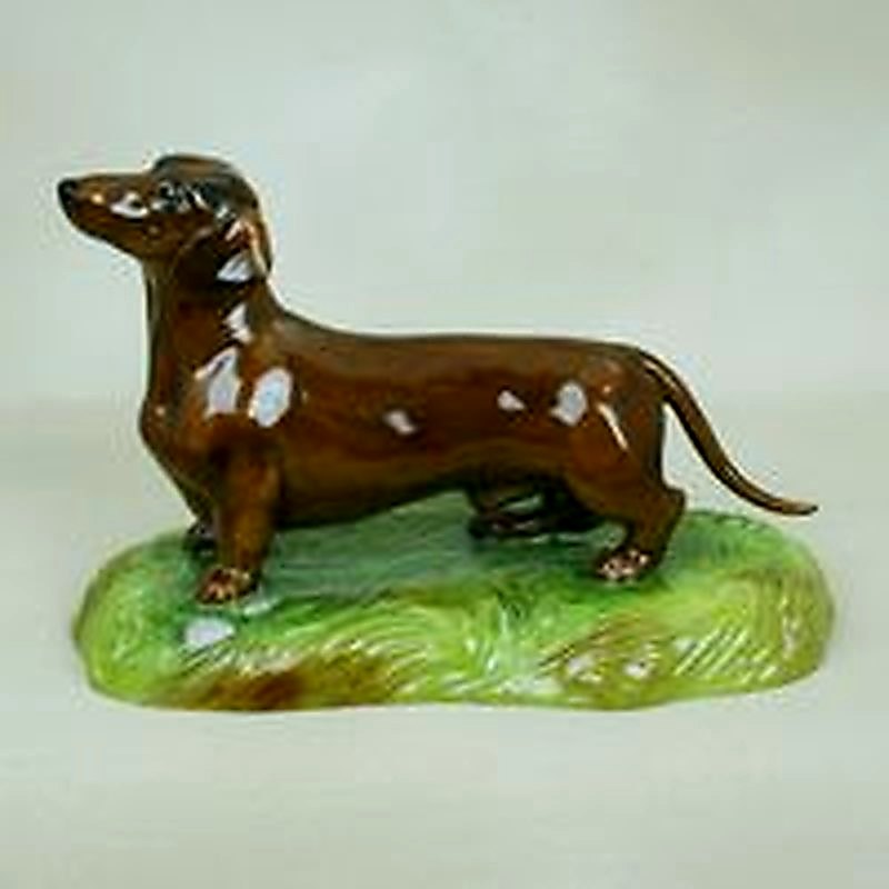 Tan Dachshund