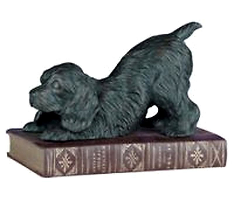 Large Cocker on a Book