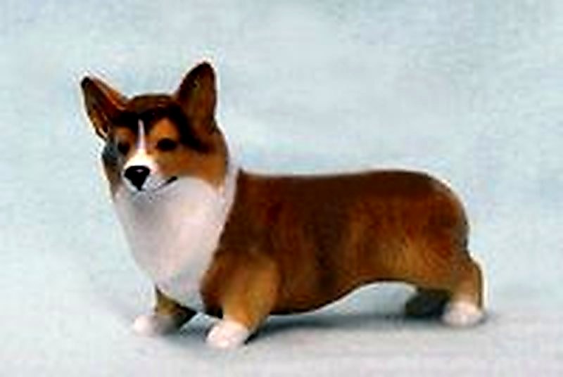Sable Pembroke Welsh Corgi