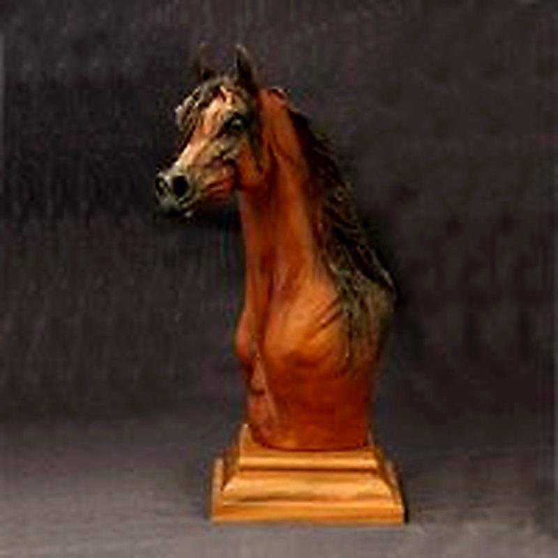 Arabian Stallion