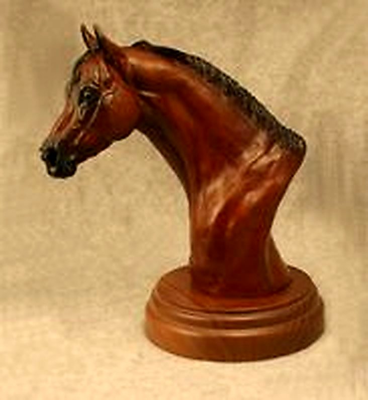 Quarter Horse Stallion