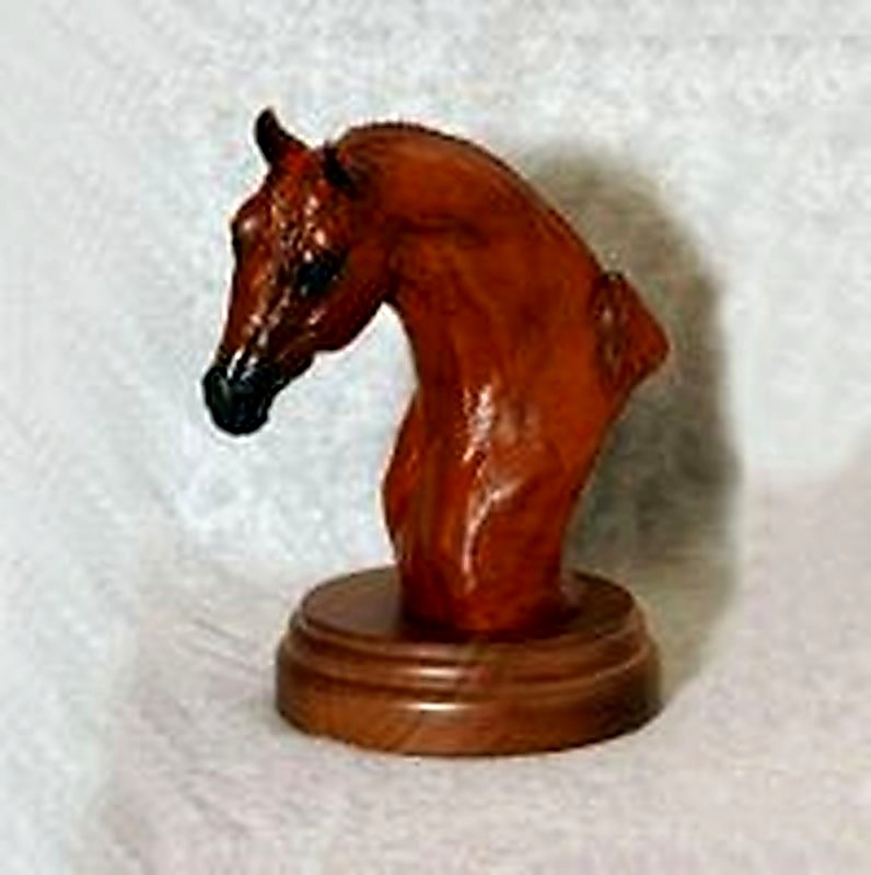 Quarter Horse Mare