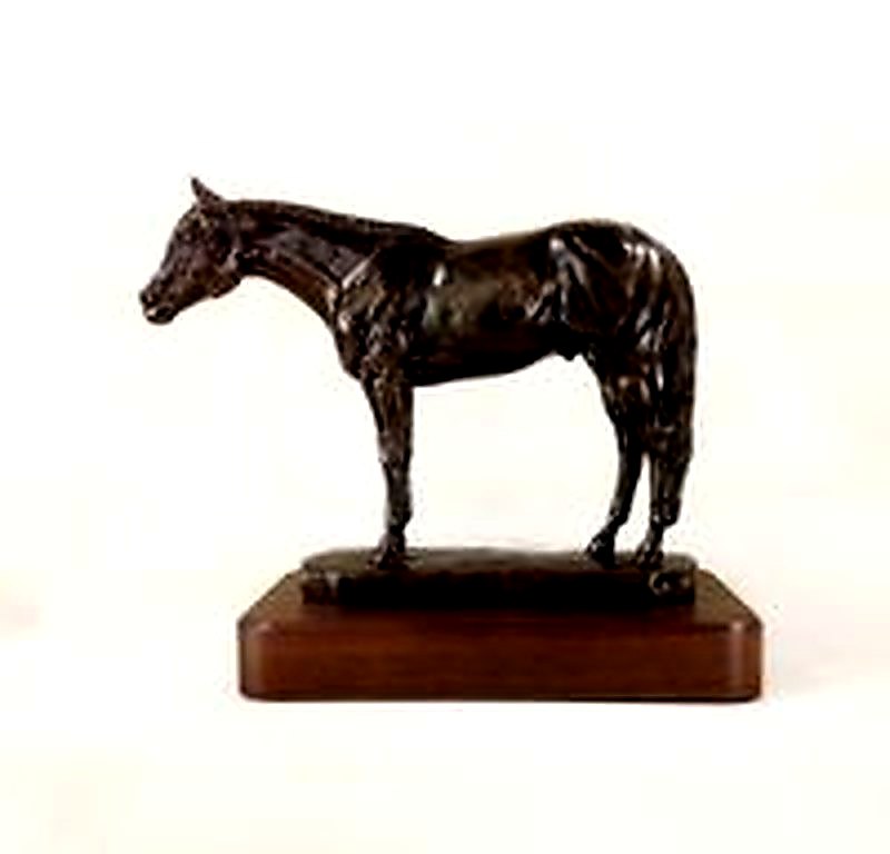 Full Body Medium Size "Quarter Horse"