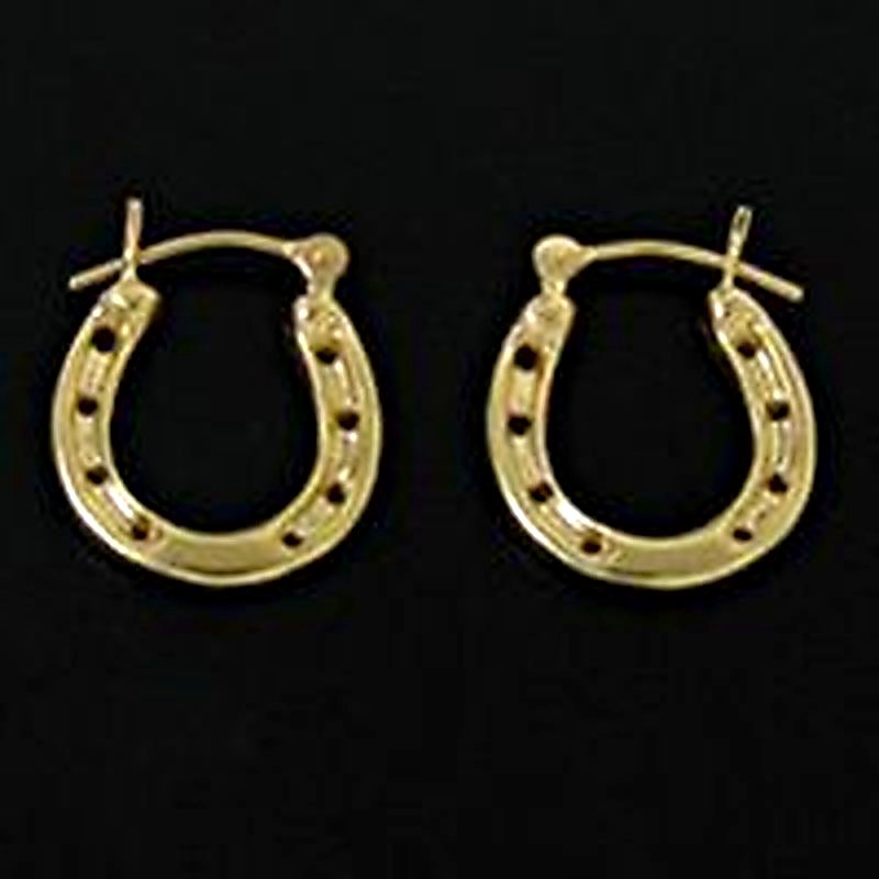 Horseshoe Earrings
