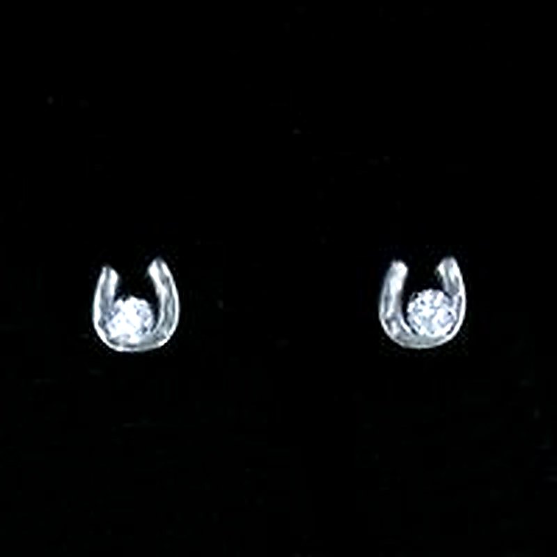 Horseshoe Earrings & 5mm CZ