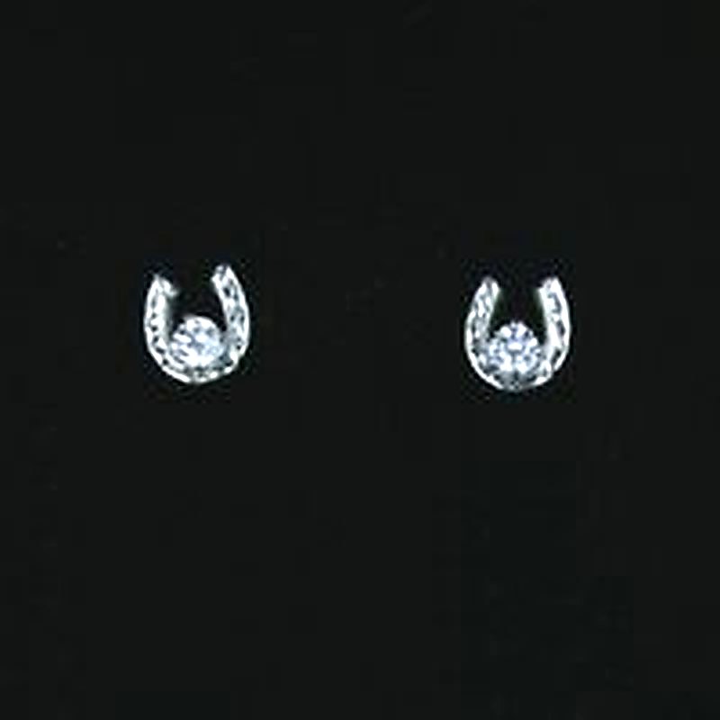 Horseshoe Post Earrings & 5mm CZ