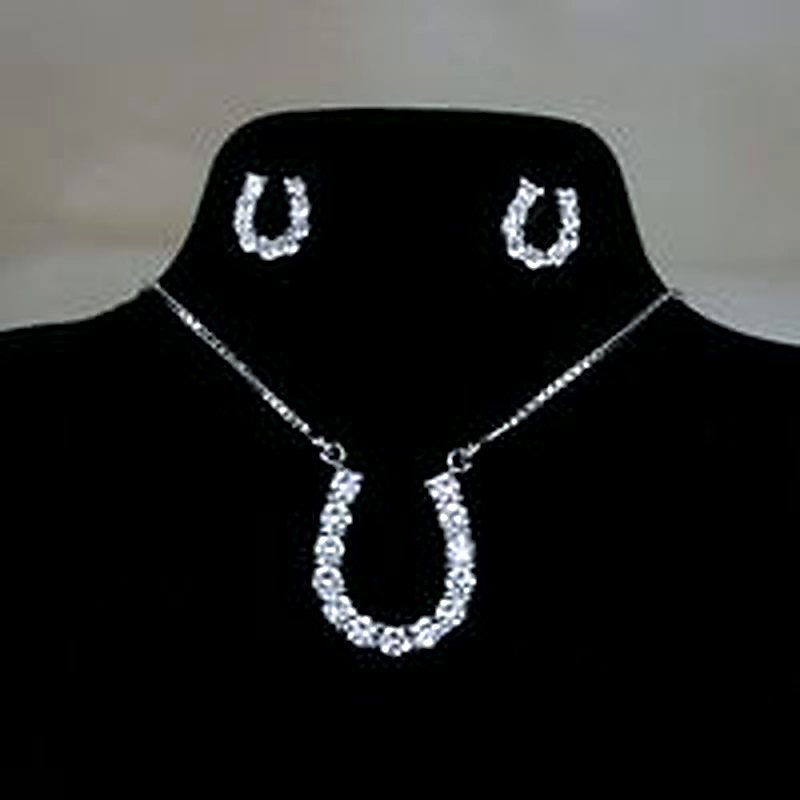Cz Covered Necklace & Small Horseshoe Stud Earrings